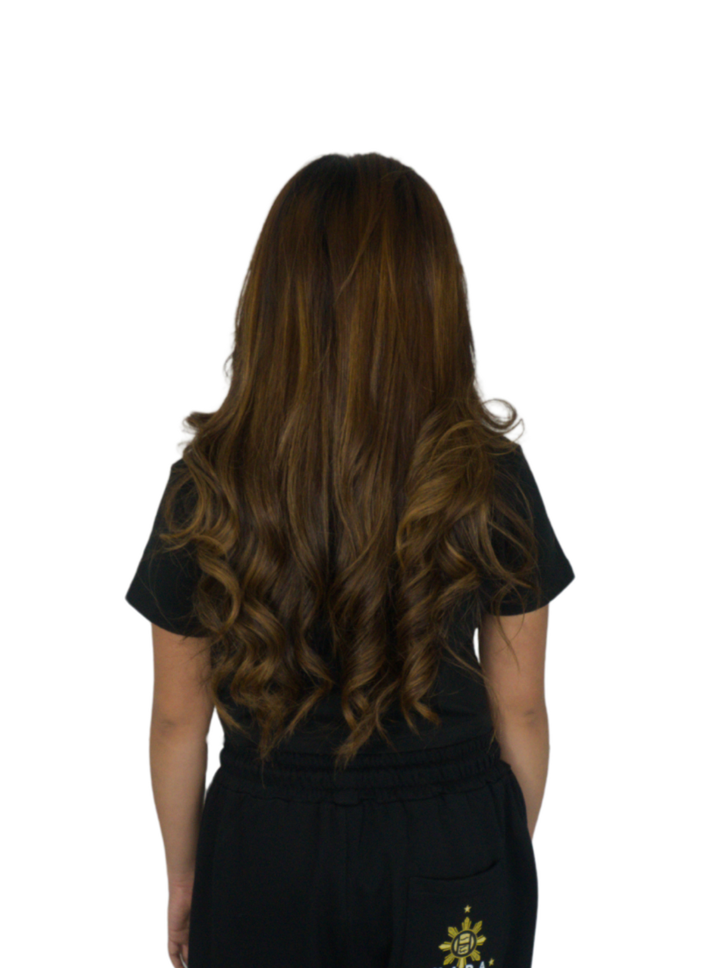 Pamana (Legacy) Crop Top